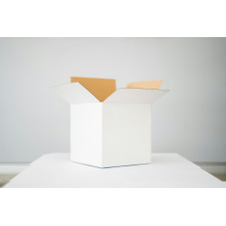 Ambalaje din carton solid